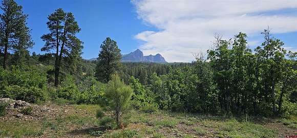 35.31 Acres of Land for Sale in Pagosa Springs, Colorado