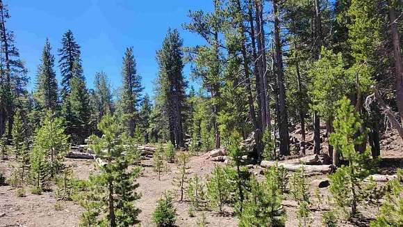 164.49 Acres of Recreational Land for Sale in Macdoel, California