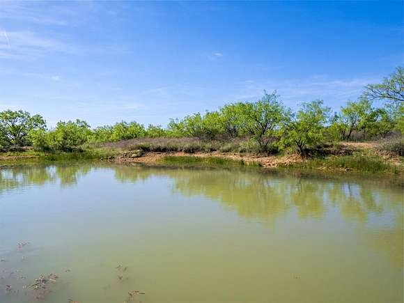 40 Acres of Land for Sale in Novice, Texas