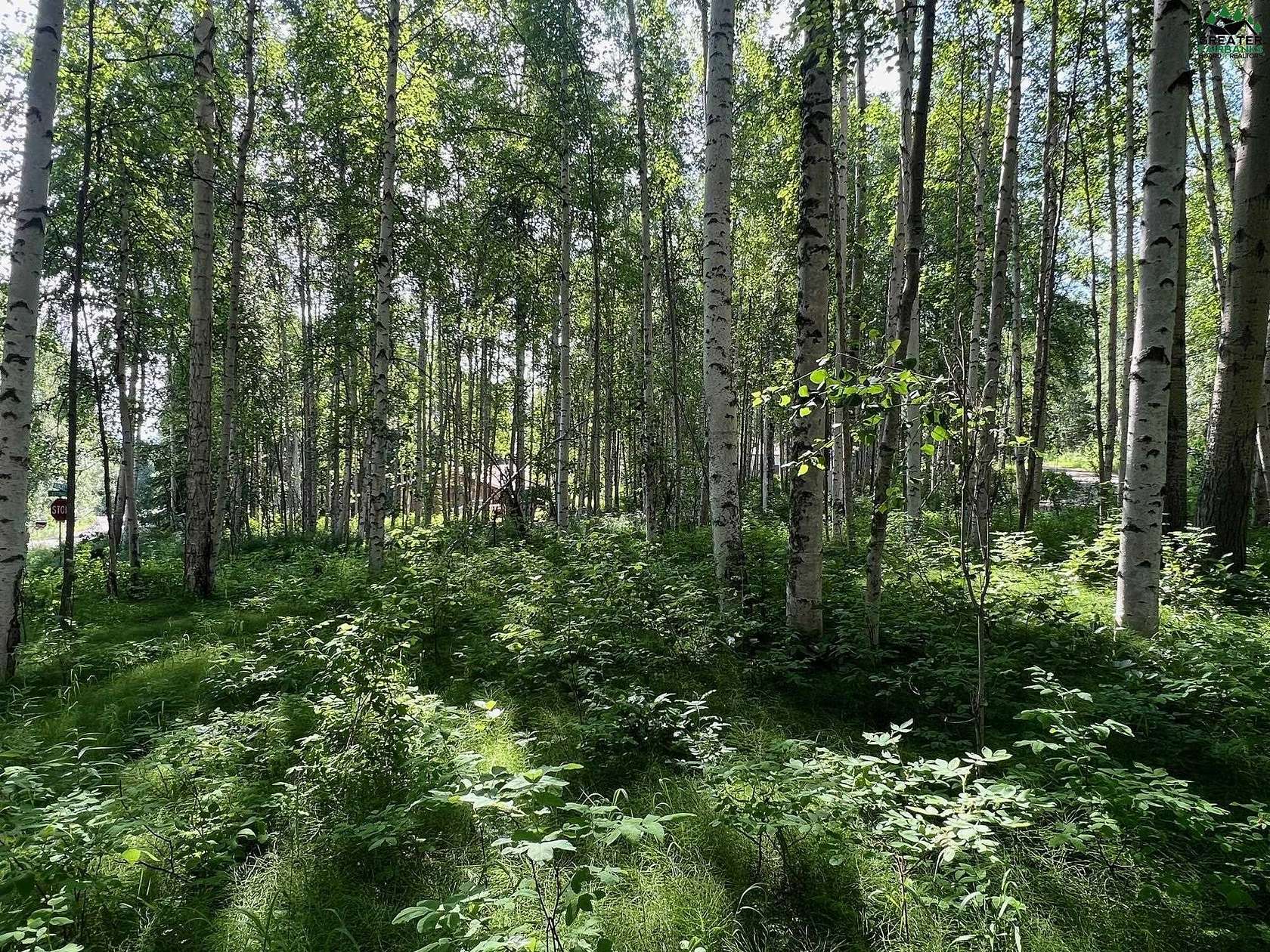 1.58 Acres of Residential Land for Sale in Fairbanks, Alaska