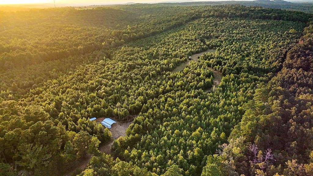 78.04 Acres of Recreational Land for Sale in Nacogdoches, Texas