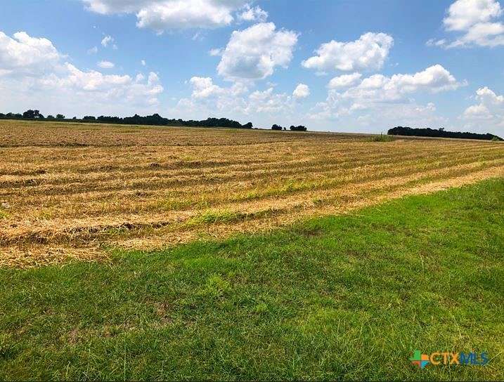 79.95 Acres of Agricultural Land for Sale in Thrall, Texas