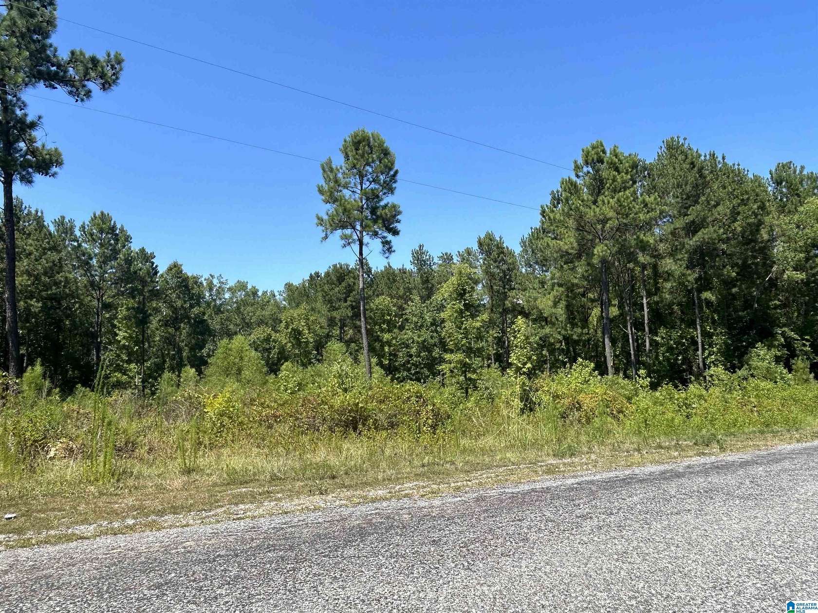 0.79 Acres of Residential Land for Sale in Sylacauga, Alabama