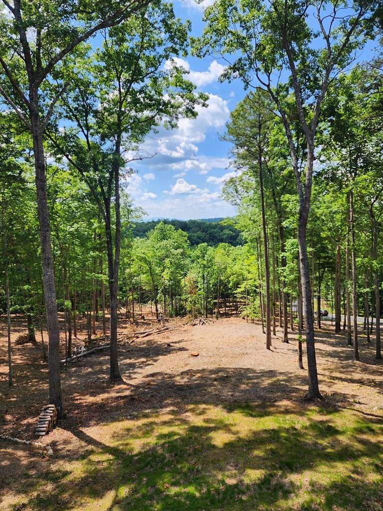 1.43 Acres of Land for Sale in Morganton, Georgia