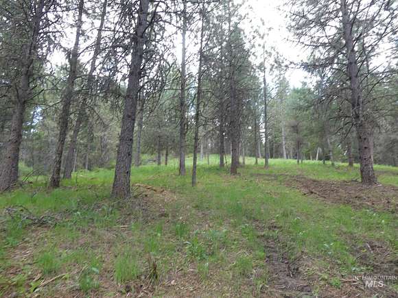 20 Acres of Land for Sale in Peck, Idaho