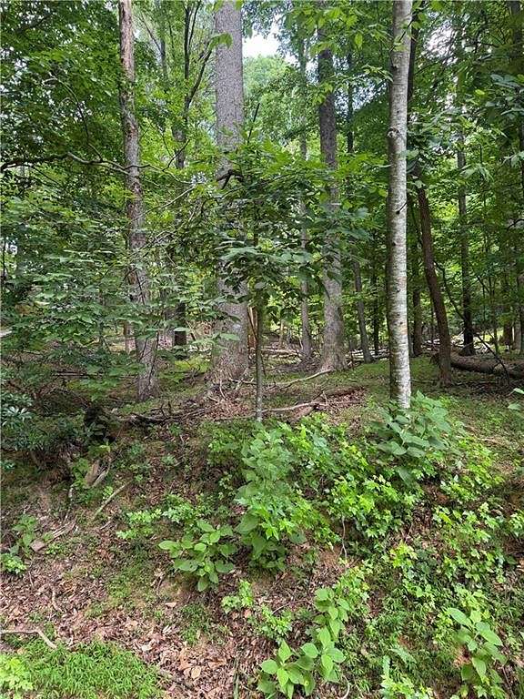 0.95 Acres of Residential Land for Sale in Jasper, Georgia