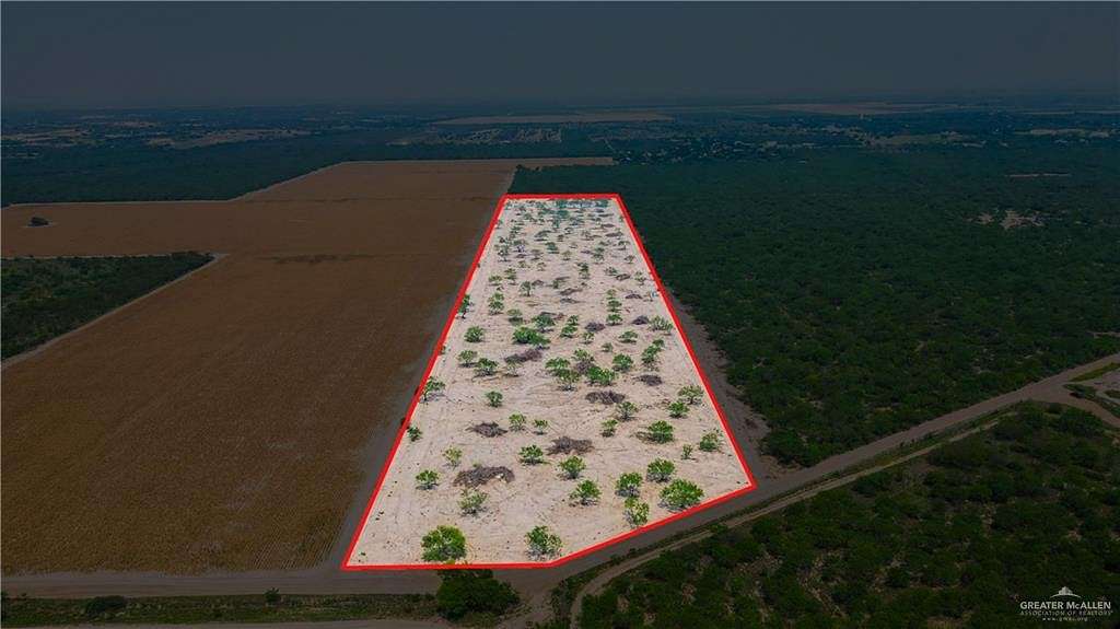 19.34 Acres of Land for Sale in La Grulla, Texas