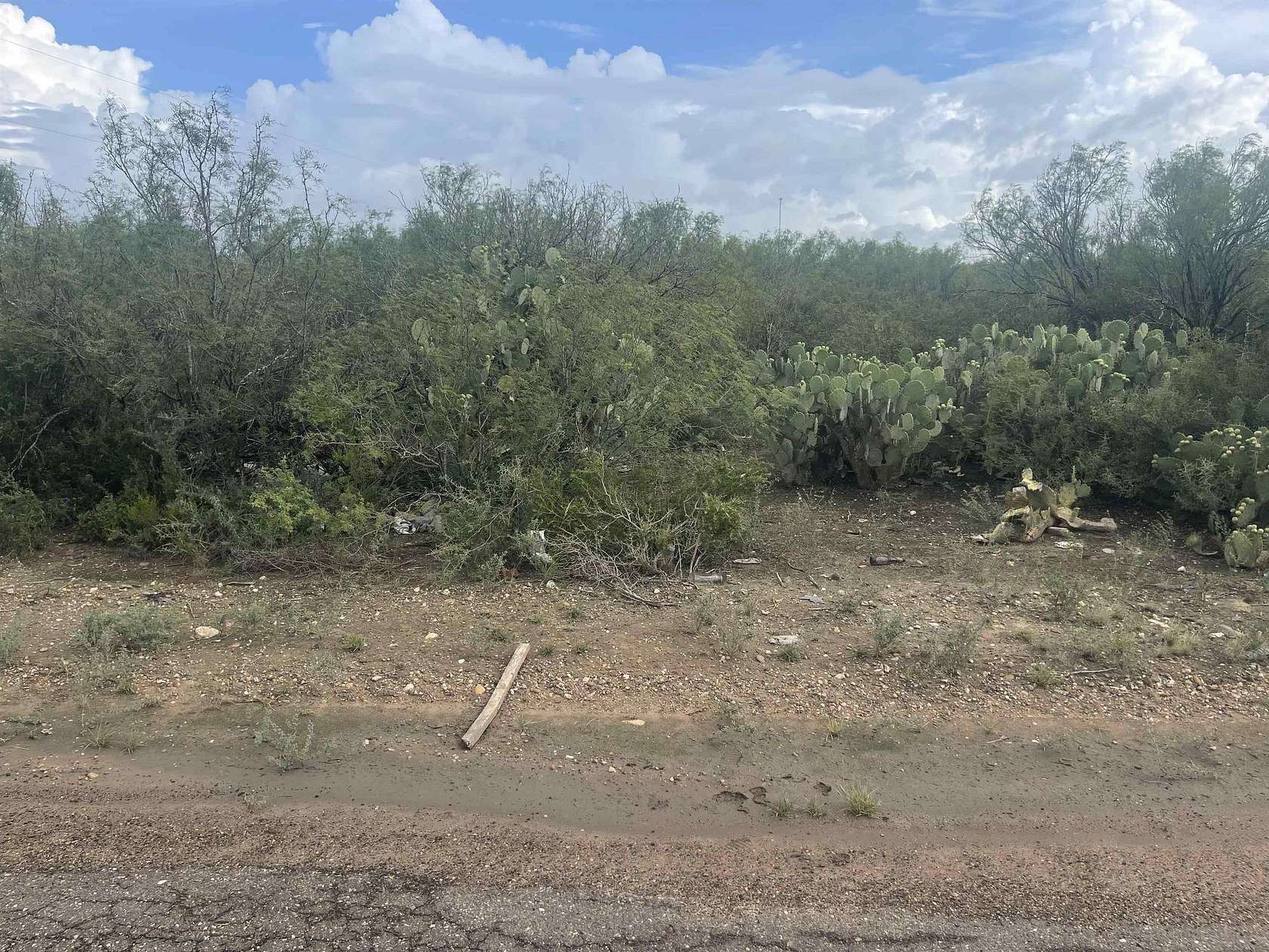 10 Acres of Residential Land for Sale in Laredo, Texas