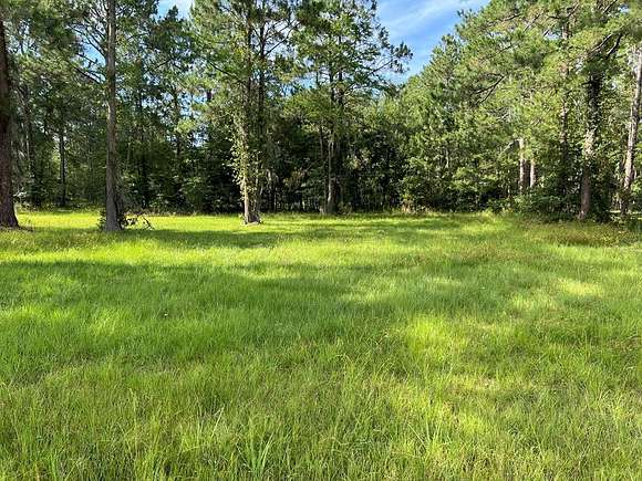 0.244 Acres of Residential Land for Sale in Adel, Georgia