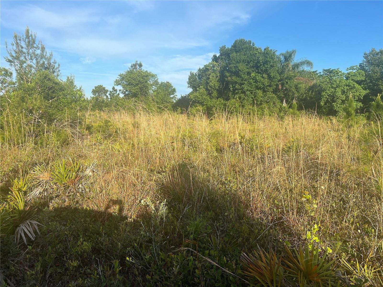 1.01 Acres of Commercial Land for Sale in Lorida, Florida