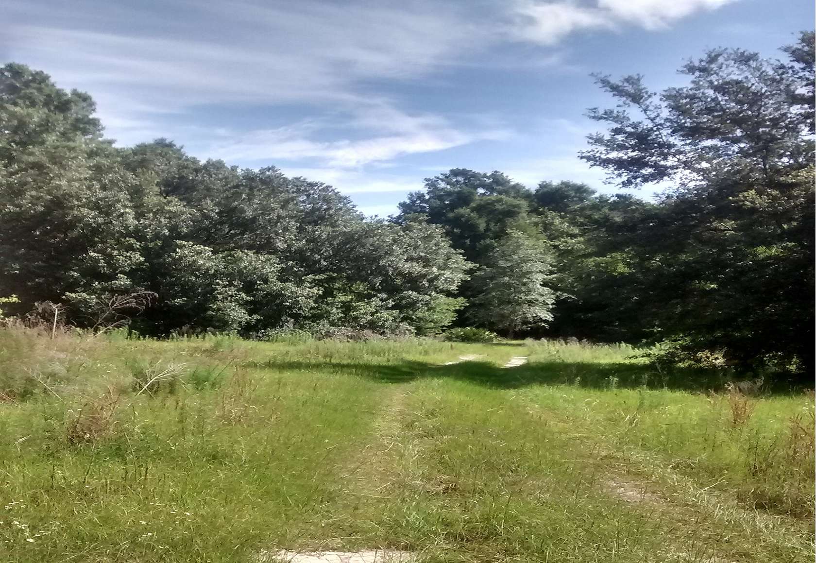 80 Acres of Agricultural Land with Home for Sale in Archer, Florida