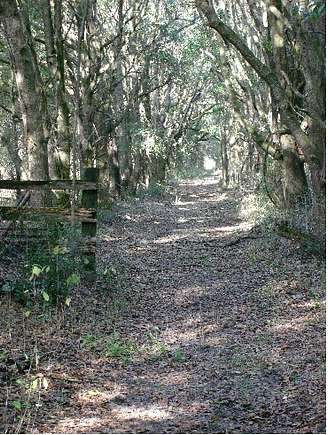 Trail Inside Property