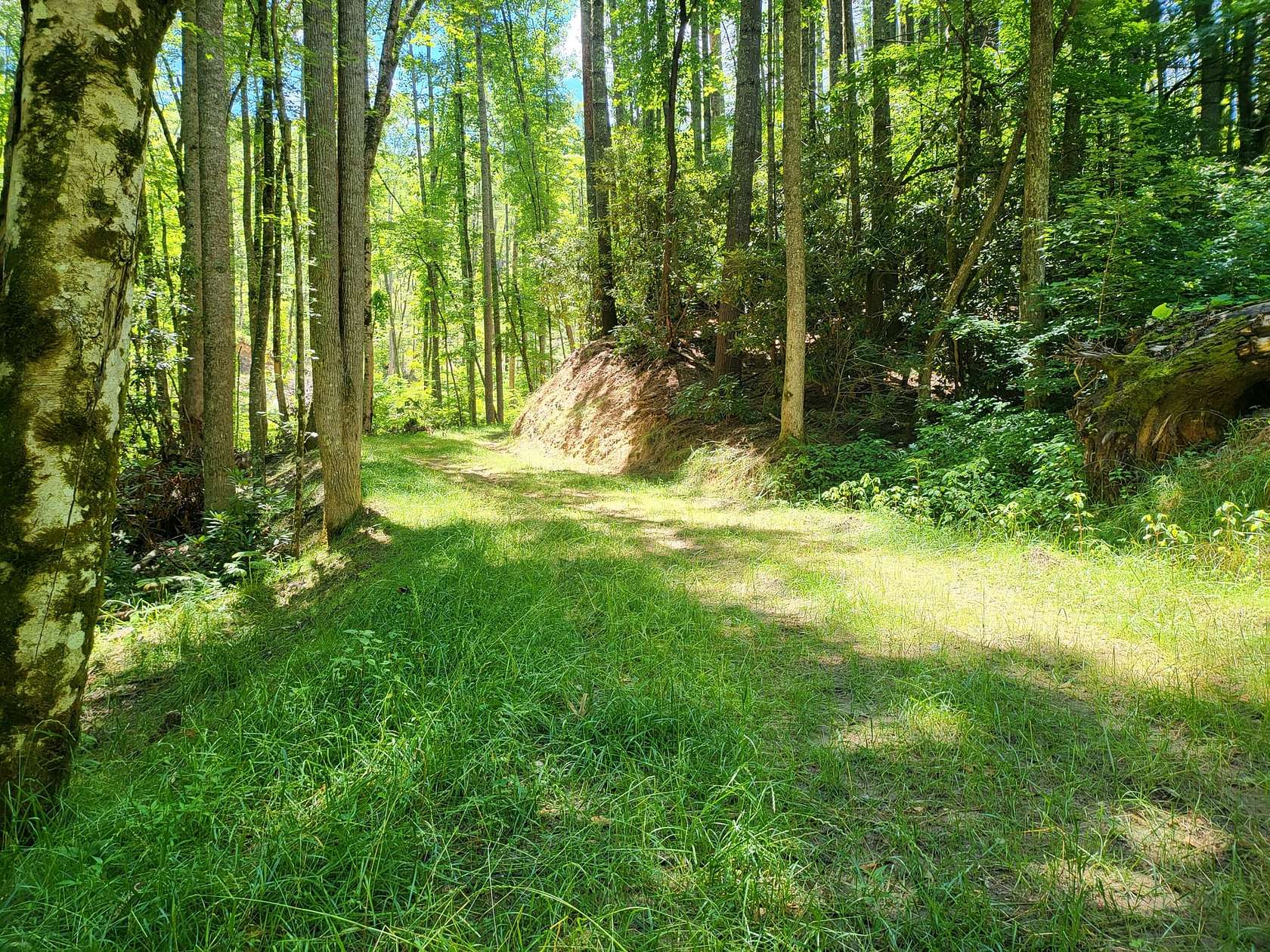 71.05 Acres of Recreational Land for Sale in Franklin, North Carolina