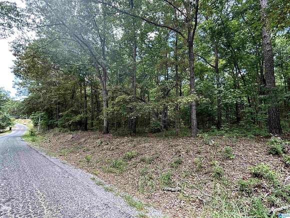 0.76 Acres of Residential Land for Sale in Talladega, Alabama