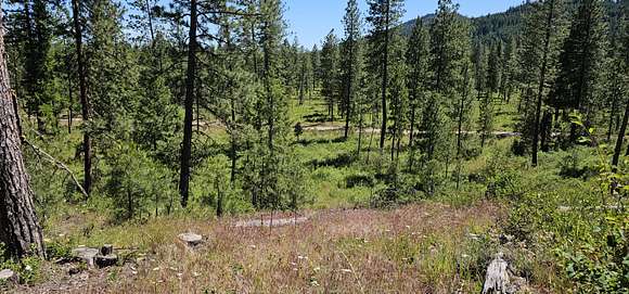 20 Acres of Land for Sale in Inchelium, Washington