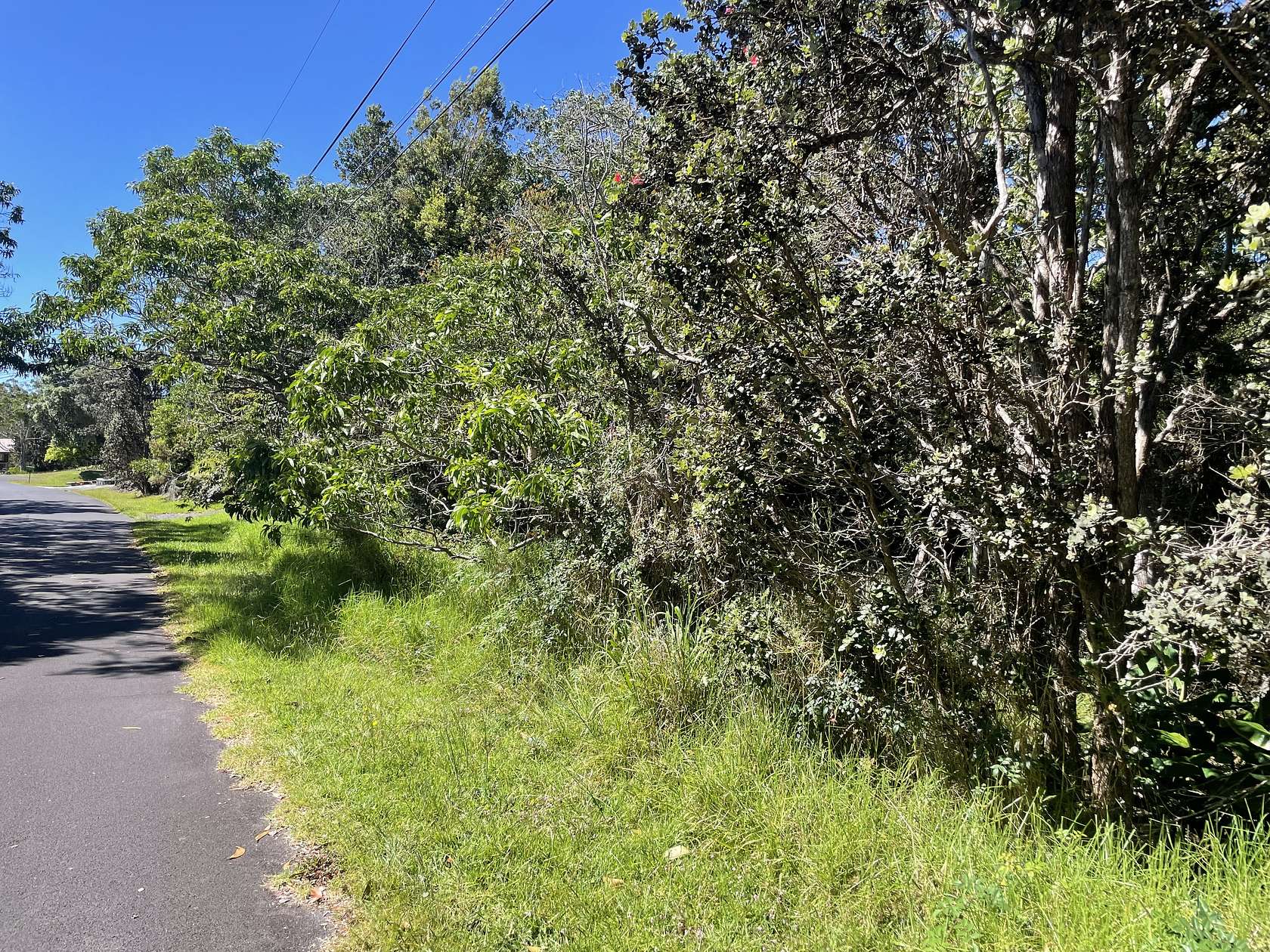0.257 Acres of Residential Land for Sale in Volcano, Hawaii