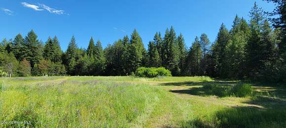 10 Acres of Land for Sale in Priest River, Idaho
