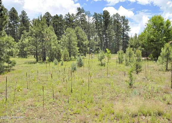 0.28 Acres of Residential Land for Sale in Pinetop, Arizona
