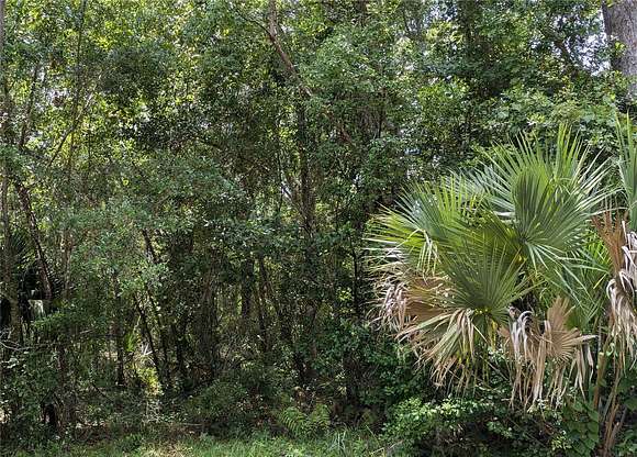 0.46 Acres of Residential Land for Sale in Micanopy, Florida