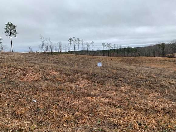 Land for Sale in Heflin, Alabama