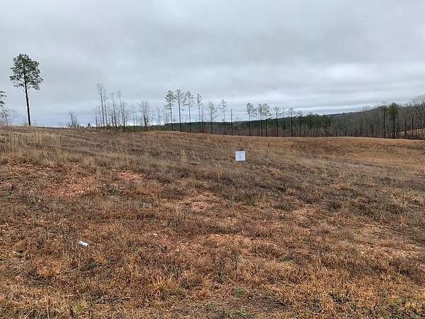 Land for Sale in Heflin, Alabama
