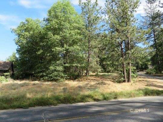 0.24 Acres of Residential Land for Sale in Idyllwild, California