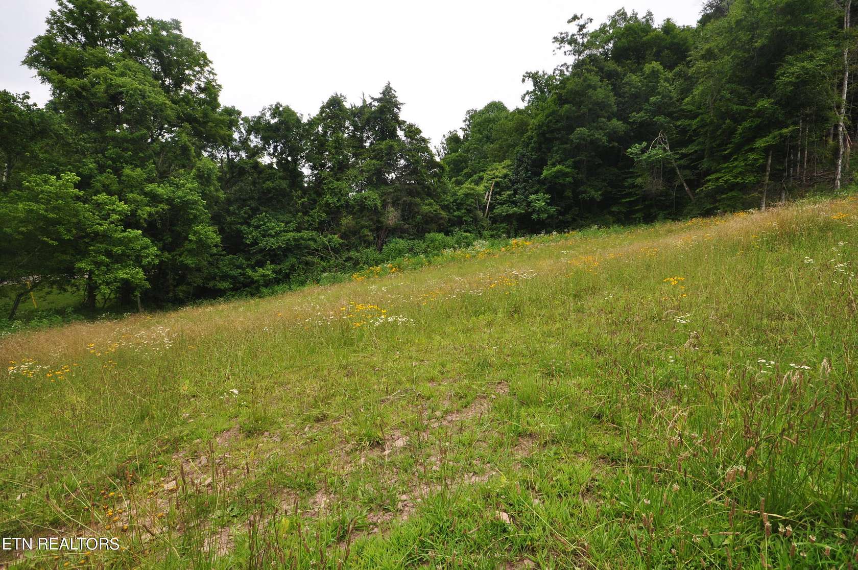 8 Acres of Residential Land for Sale in Maynardville, Tennessee