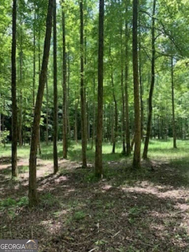 59.86 Acres of Recreational Land & Farm for Sale in Ellijay, Georgia