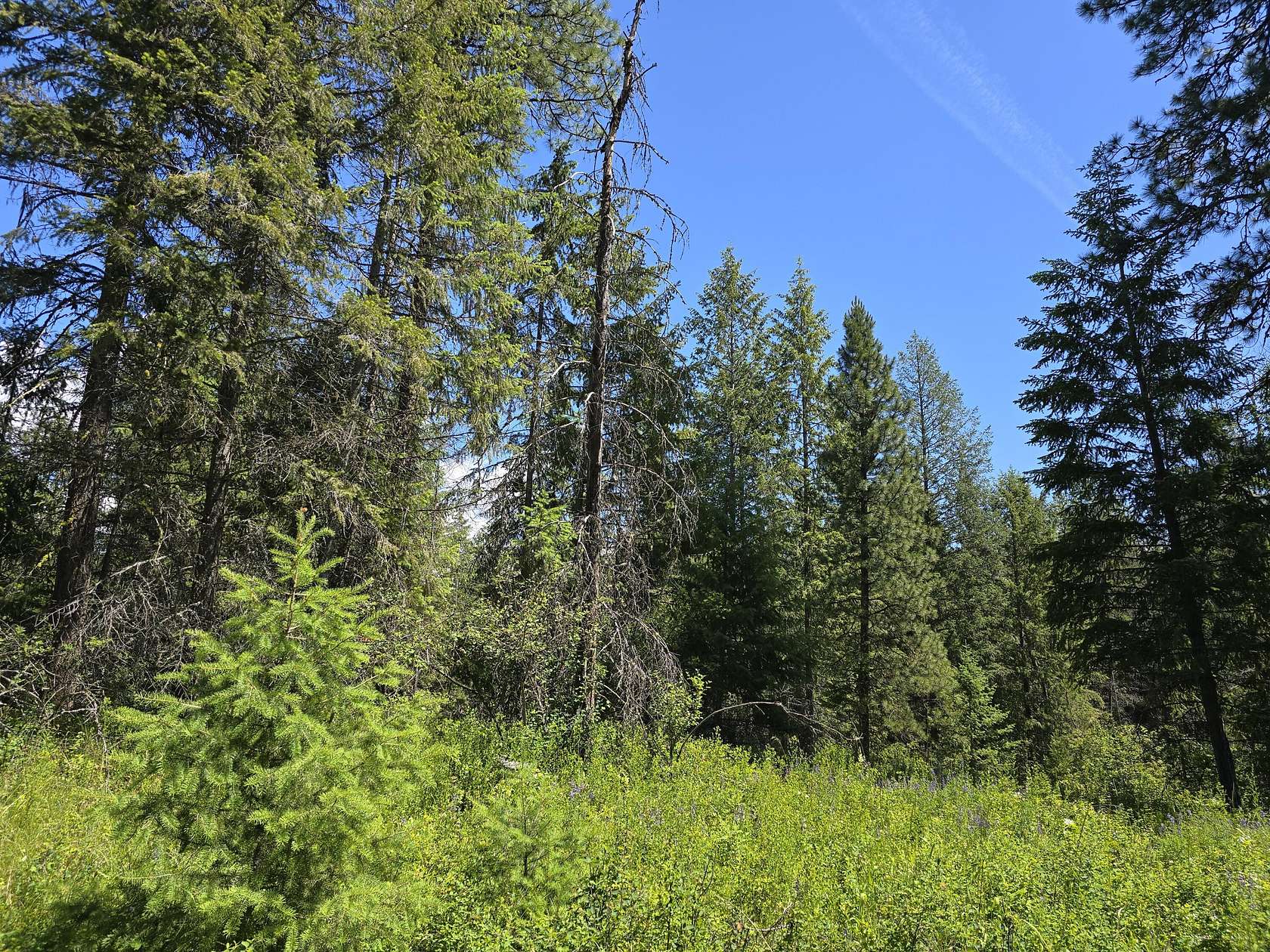 5 Acres of Land for Sale in Kettle Falls, Washington