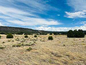 20 Acres of Land for Sale in Quemado, New Mexico