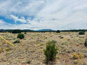 20 Acres of Land for Sale in Quemado, New Mexico