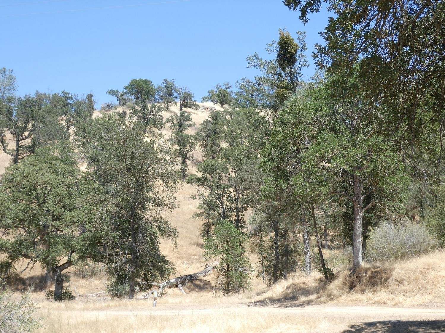 5.86 Acres of Residential Land for Sale in Coarsegold, California