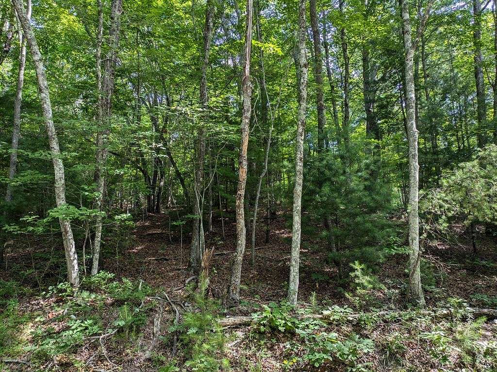 Residential Land for Sale in Murphy, North Carolina