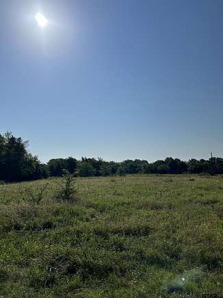 44 Acres of Agricultural Land for Sale in Talco, Texas