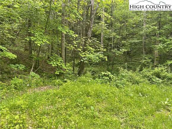 1 Acres of Residential Land for Sale in Beech Mountain, North Carolina