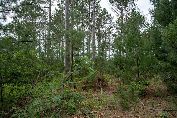 2.1 Acres of Residential Land for Sale in Nekoosa, Wisconsin