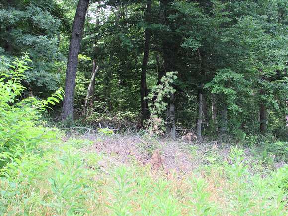 0.76 Acres of Land for Sale in Black Mountain, North Carolina