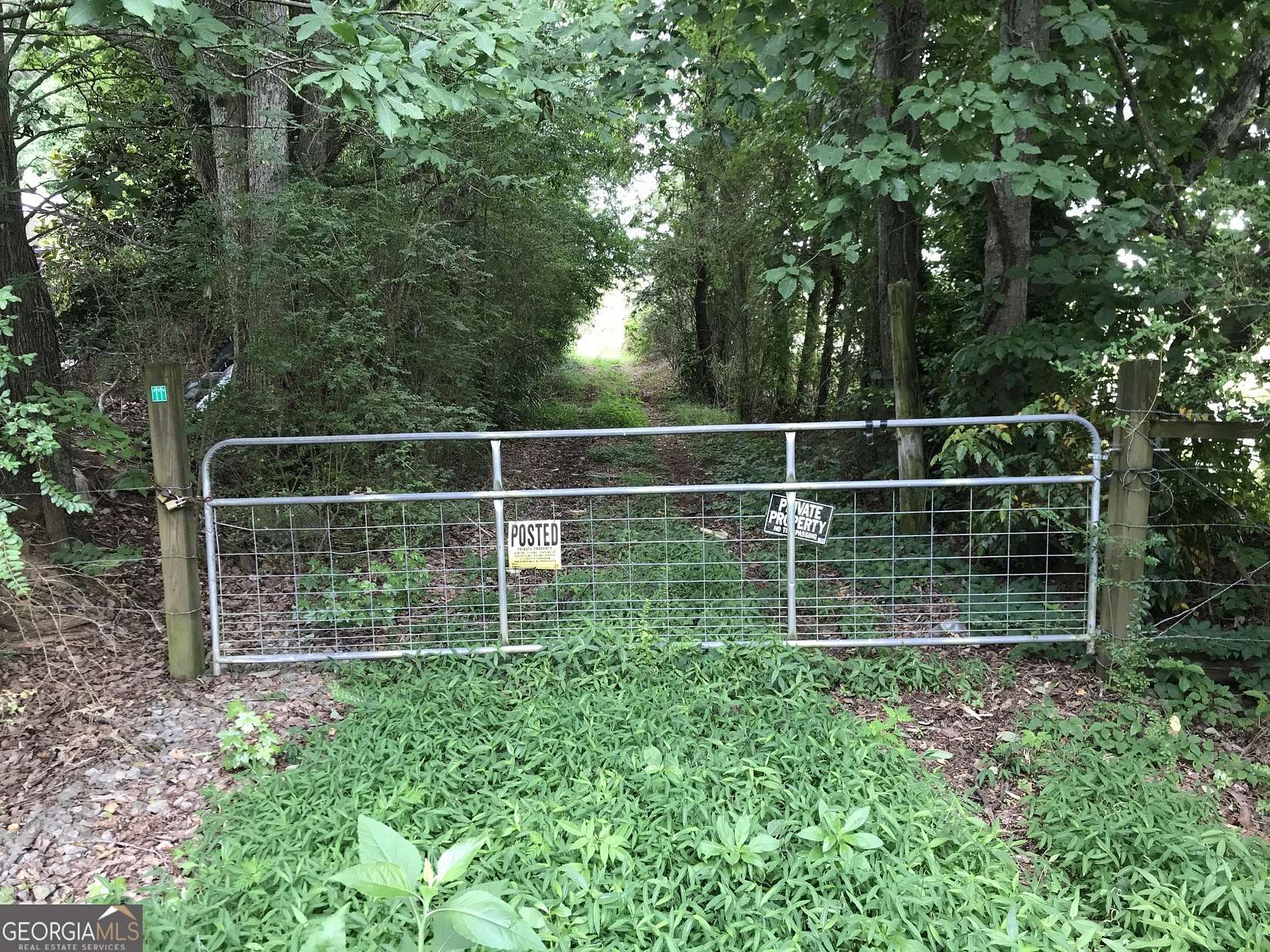 169 Acres of Land for Sale in Fairmount, Georgia