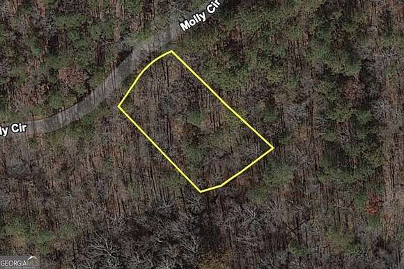 0.6 Acres of Residential Land for Sale in Ellijay, Georgia