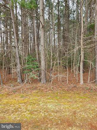 0.92 Acres of Residential Land for Sale in Newburg, Maryland