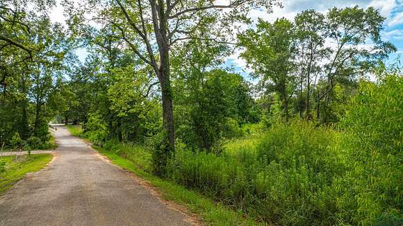 20.3 Acres of Agricultural Land for Sale in Henderson, Texas