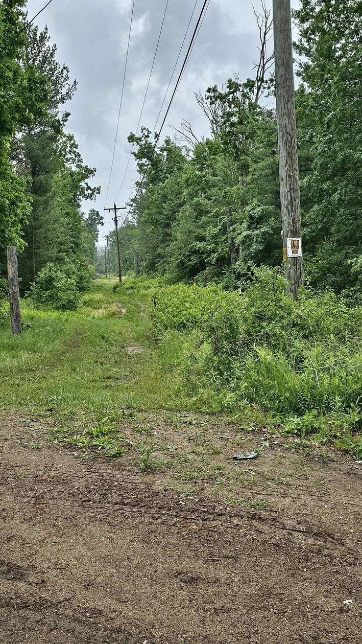 1.33 Acres of Residential Land for Sale in Baldwin, Michigan