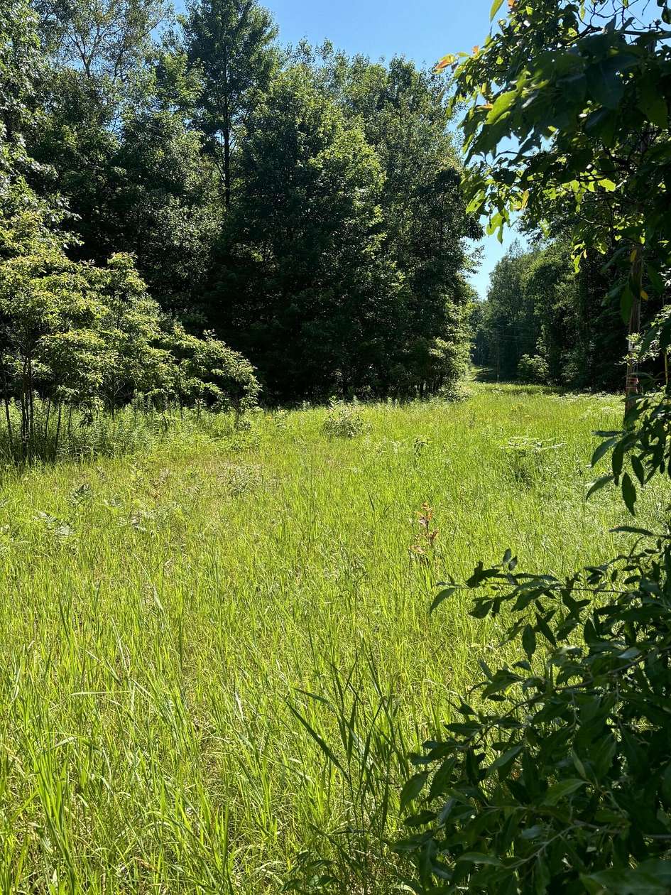 3 Acres of Residential Land for Sale in White Cloud, Michigan