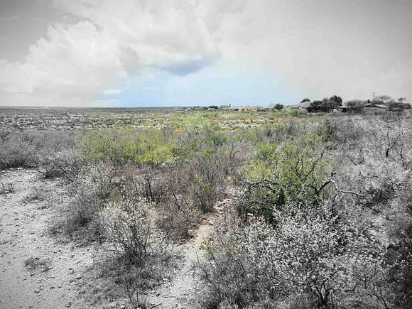 0.91 Acres of Residential Land for Sale in Del Rio, Texas