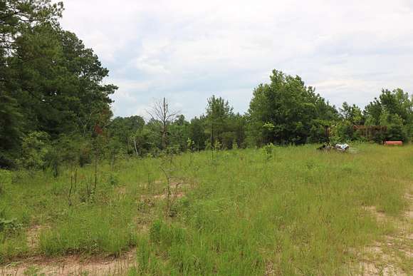 10 Acres of Residential Land for Sale in Newton, Texas