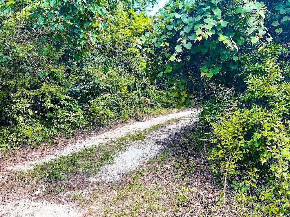 1.34 Acres of Residential Land for Sale in Cedar Key, Florida