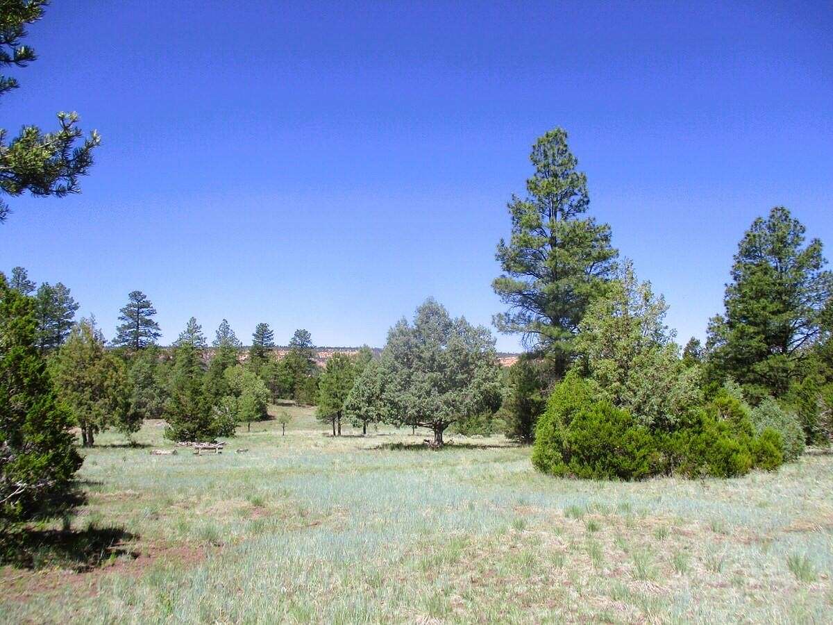 20 Acres of Land for Sale in Ramah, New Mexico