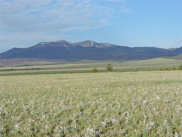 8.25 Acres of Residential Land for Sale in Fairplay, Colorado