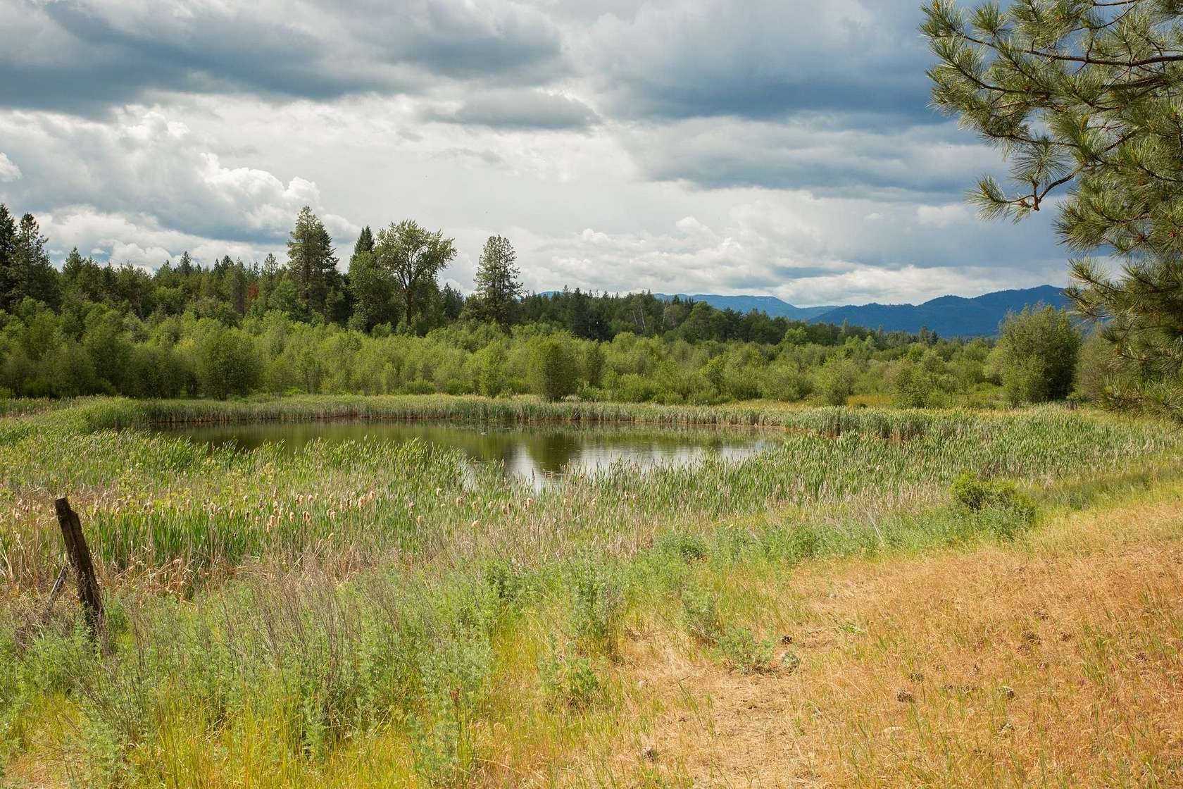 80 Acres of Recreational Land for Sale in Springdale, Washington