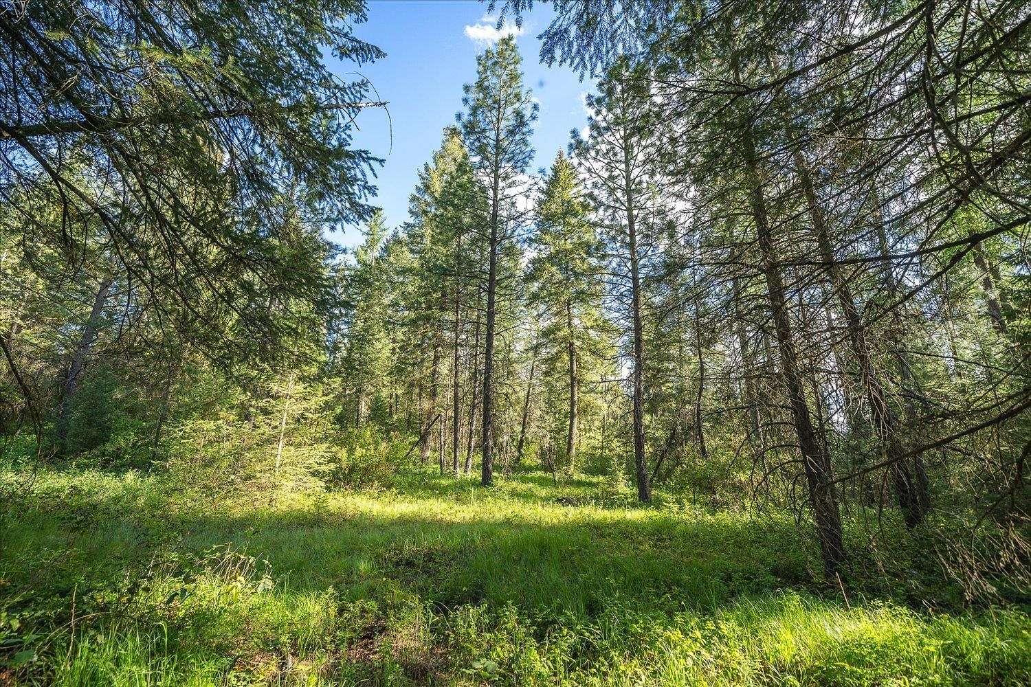 17.74 Acres of Land for Sale in Chattaroy, Washington